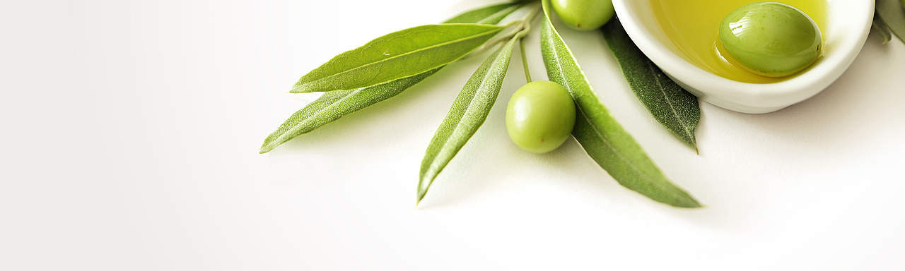 csm_header_olives_228fa81d97